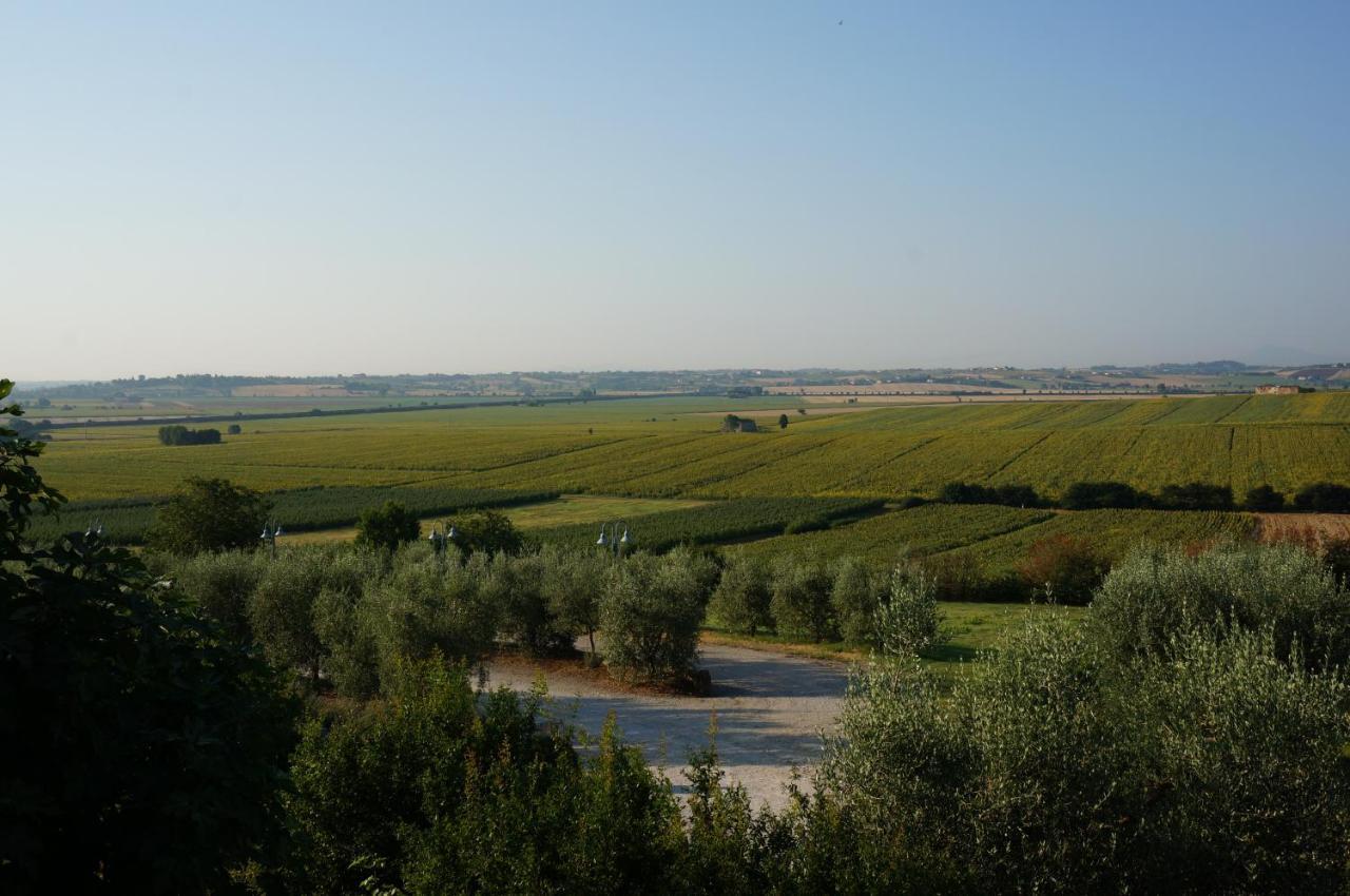 Agriturismo S.Angelo Foiano Della Chiana Exterior foto